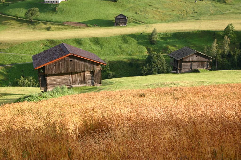 Bauernhof Im Wiesengrund Maria Luggau Eksteriør bilde